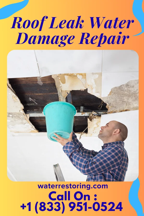 Roof Leak Water Damage Repair in Cedar Point, TX